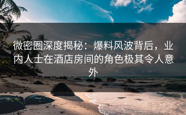 微密圈深度揭秘：爆料风波背后，业内人士在酒店房间的角色极其令人意外