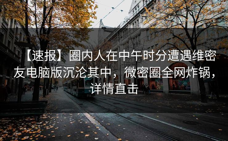 【速报】圈内人在中午时分遭遇维密友电脑版沉沦其中，微密圈全网炸锅，详情直击