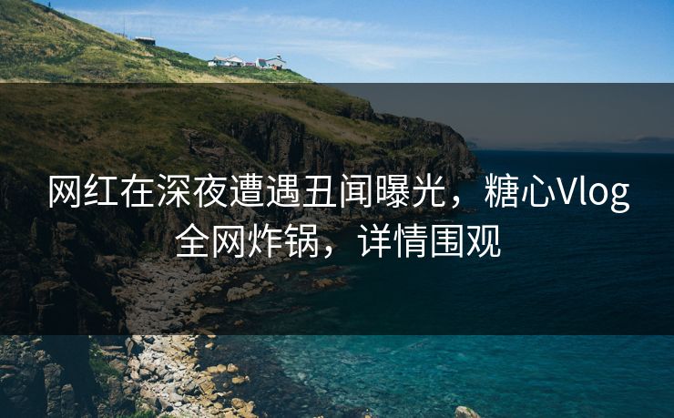 网红在深夜遭遇丑闻曝光，糖心Vlog全网炸锅，详情围观