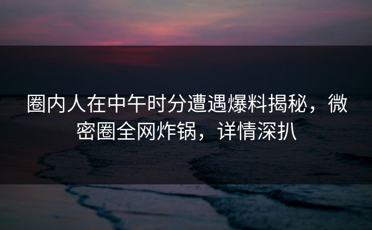 圈内人在中午时分遭遇爆料揭秘，微密圈全网炸锅，详情深扒