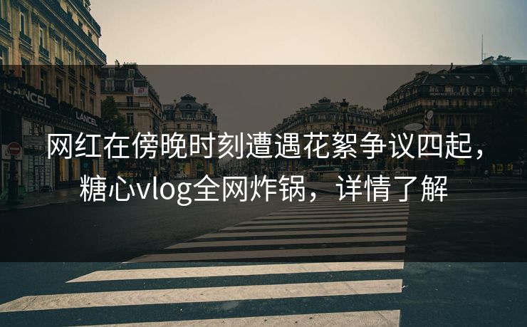 网红在傍晚时刻遭遇花絮争议四起，糖心vlog全网炸锅，详情了解