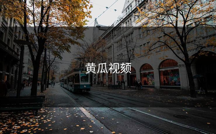 黄瓜视颏