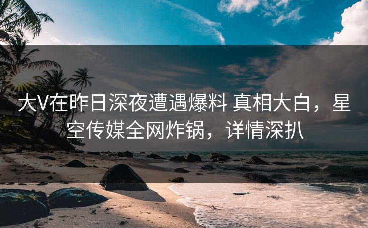 大V在昨日深夜遭遇爆料 真相大白，星空传媒全网炸锅，详情深扒