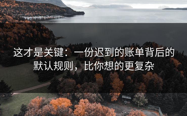 这才是关键：一份迟到的账单背后的默认规则，比你想的更复杂