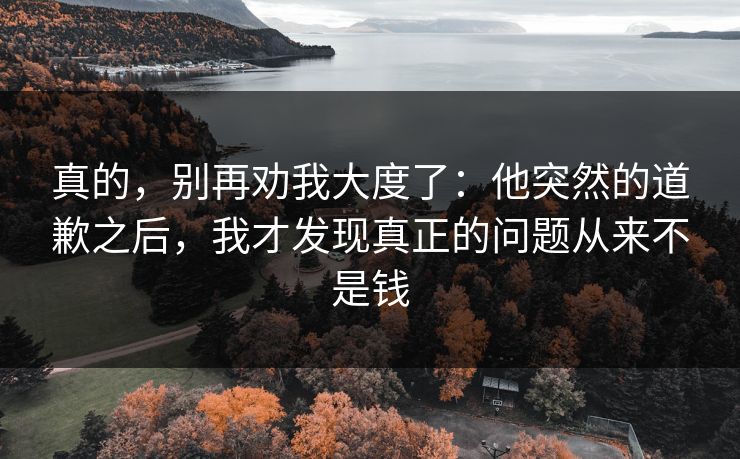 真的，别再劝我大度了：他突然的道歉之后，我才发现真正的问题从来不是钱